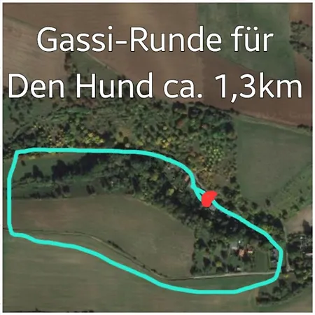 Hilde Sangerhausen